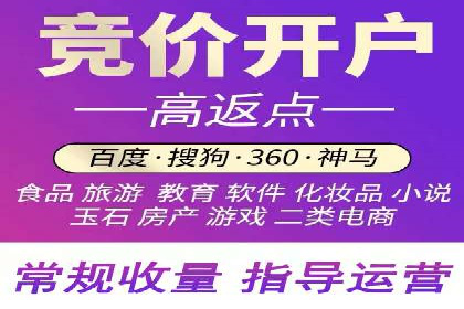 某行业巨头背后的SEM代运营托管公司